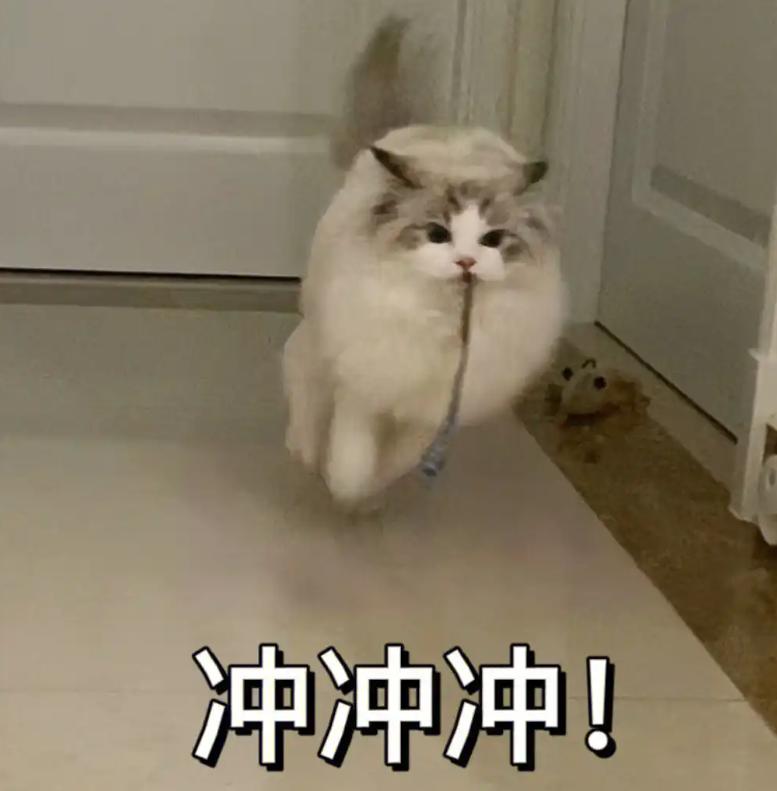 本周四→50+用人單位!多崗位招聘!