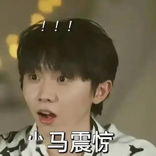 馬嘉祺賽前稱預(yù)料到被淘汰