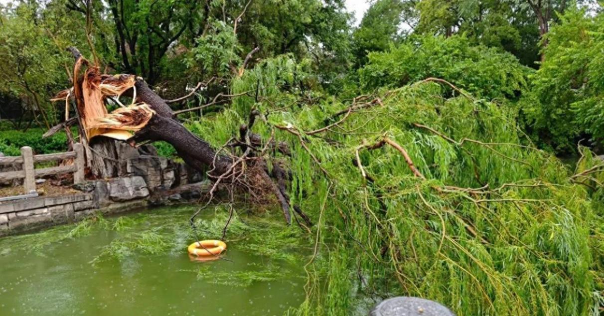 一秒天黑 濟(jì)南突降暴雨