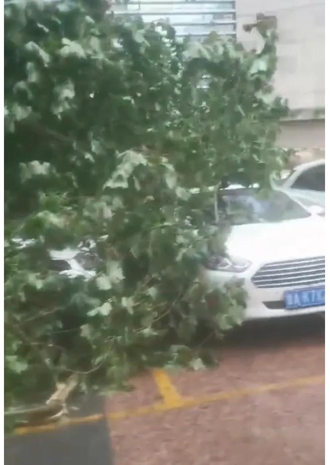 一秒天黑 濟(jì)南突降暴雨